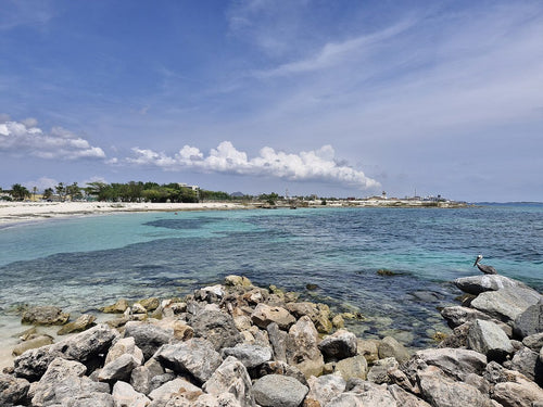 Beach in Oranjestad, Aruba