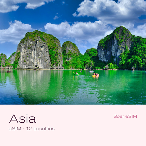 Asia travel eSIM (12 countries) with a destination photo