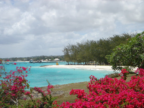 Beach in Barbados