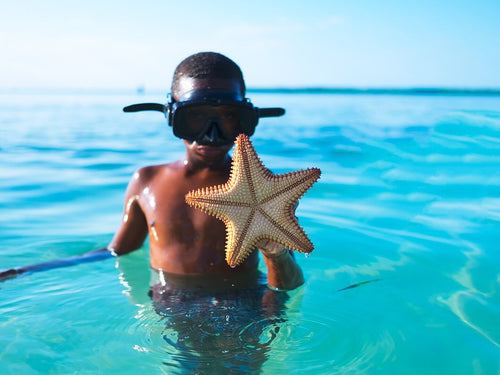 Snorkelling in the Caribbean, Belize