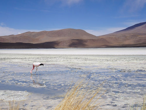 Salar de Uyuni, Bolivia