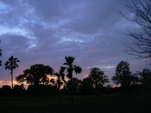 Landscape near Banfora, Burkina Faso